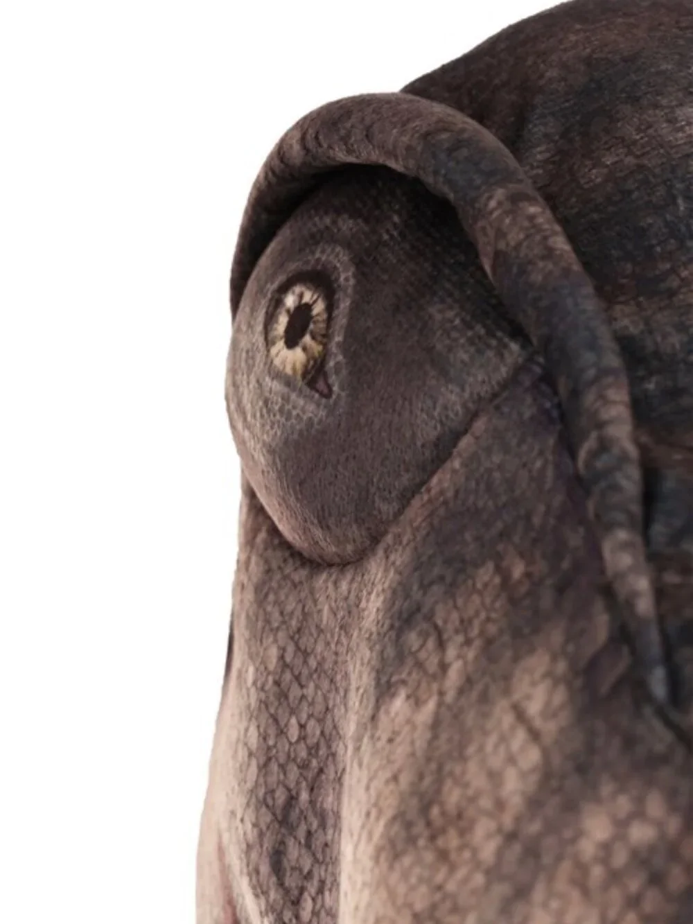 Dinosaur Costume